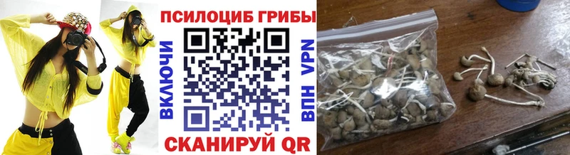 Купить  Можайск  Псилоцибиновые грибы Psilocybine cubensis 